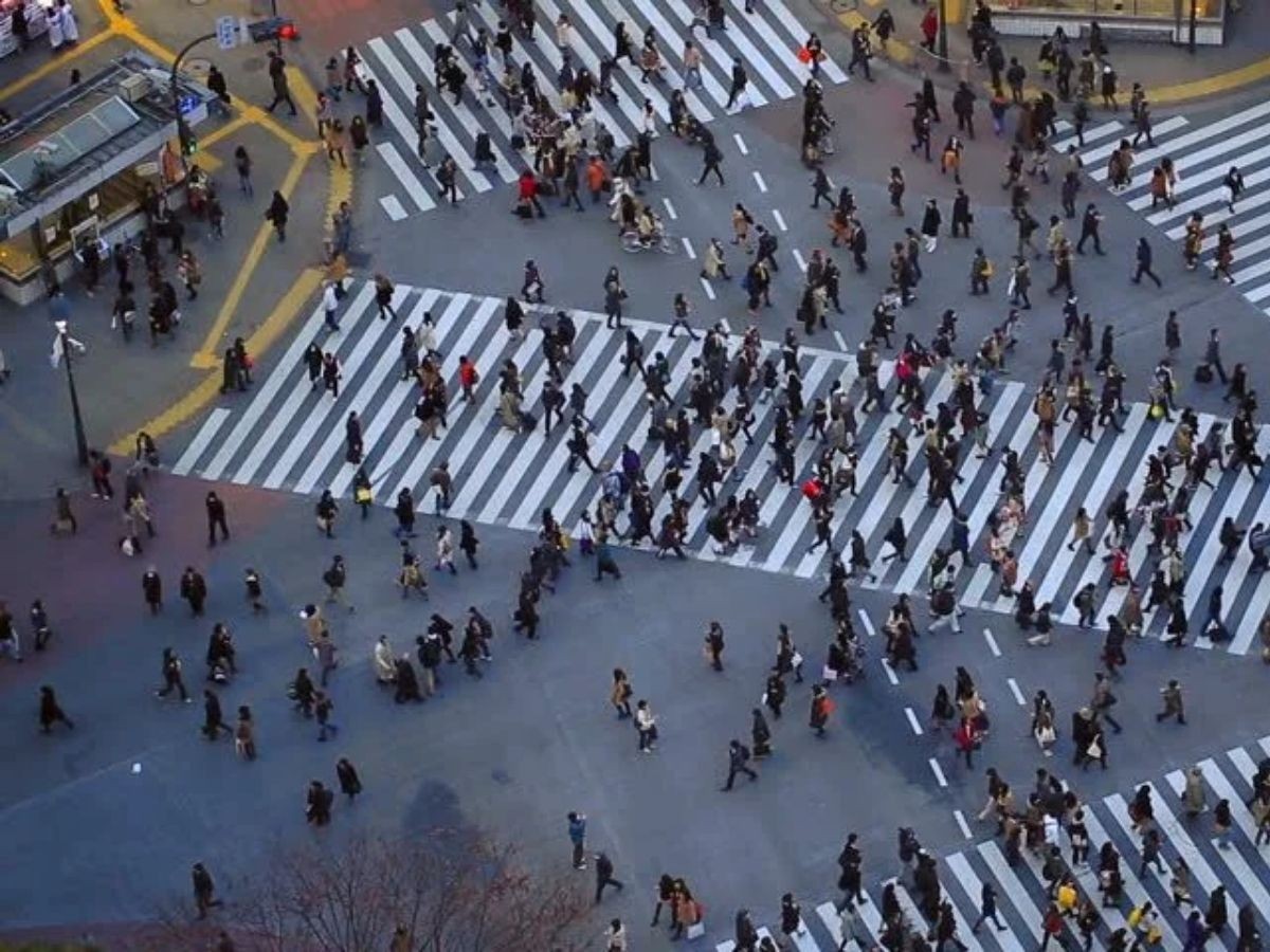 Türkiye'de işsiz kişi sayısı 2 milyon 736 bin kişiye düştü