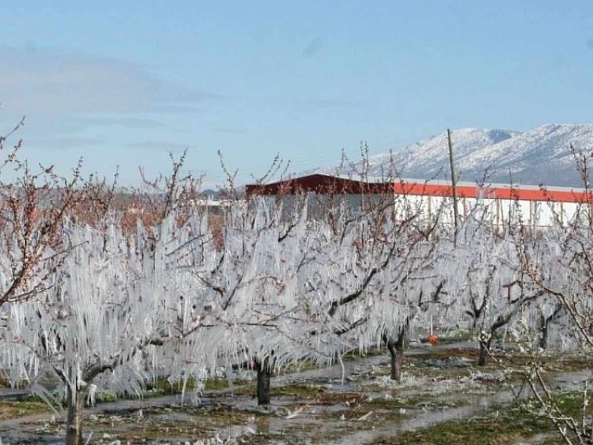 Meteoroloji Genel Müdürlüğü tarih verdi: Ankara'ya zirai don uyarısı!