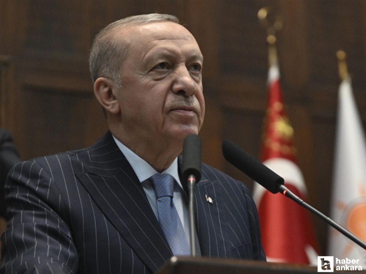 Cumhurbaşkanı Erdoğan: 'Bayrağımıza uzanan o kirli elleri mutlaka bulacağız'