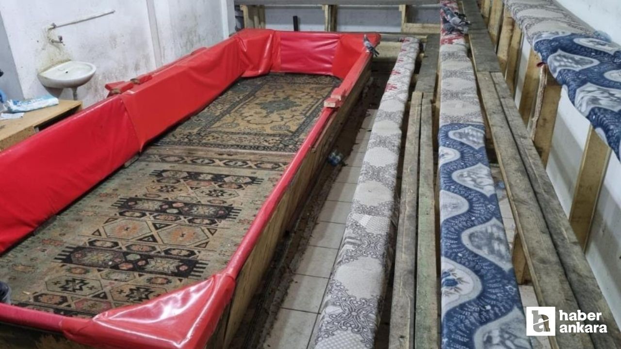 Kırşehir'de horoz dövüştüren 36 kişi gözaltına alındı