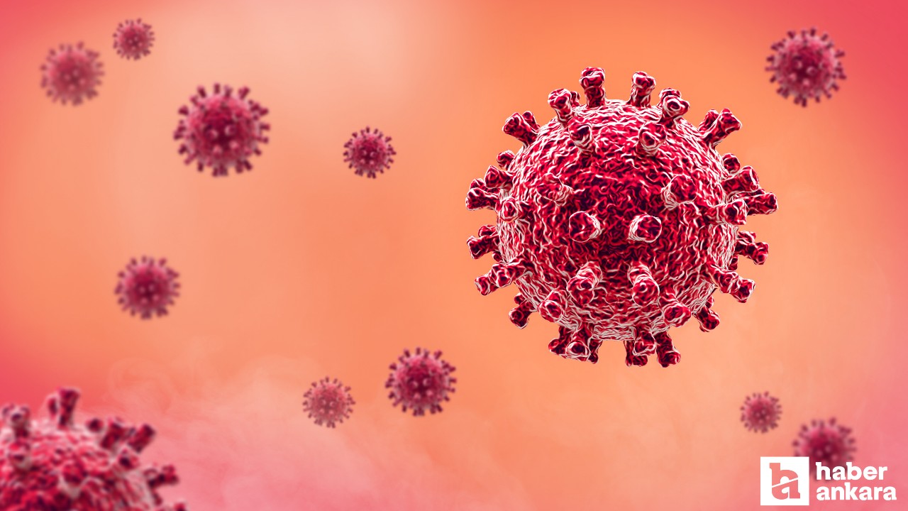 Meksika'da ortaya çıkan H5N2 virüsü için yüreklere su serpecek açıklama geldi