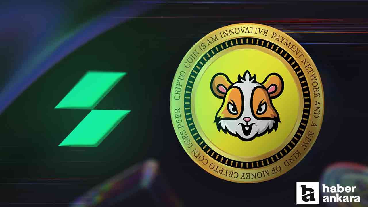 1 hamster kaç TL oldu? 26 Eylül 2024 hmstr token Binance Kombat listelemesi