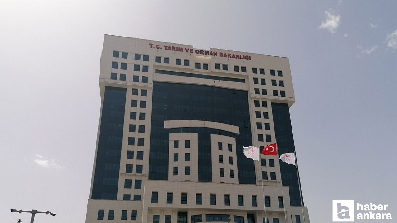 Tarım ve Orman Bakanlığı’ndan domuz eti açıklaması! Neden aylar sonra ortaya çıktı?