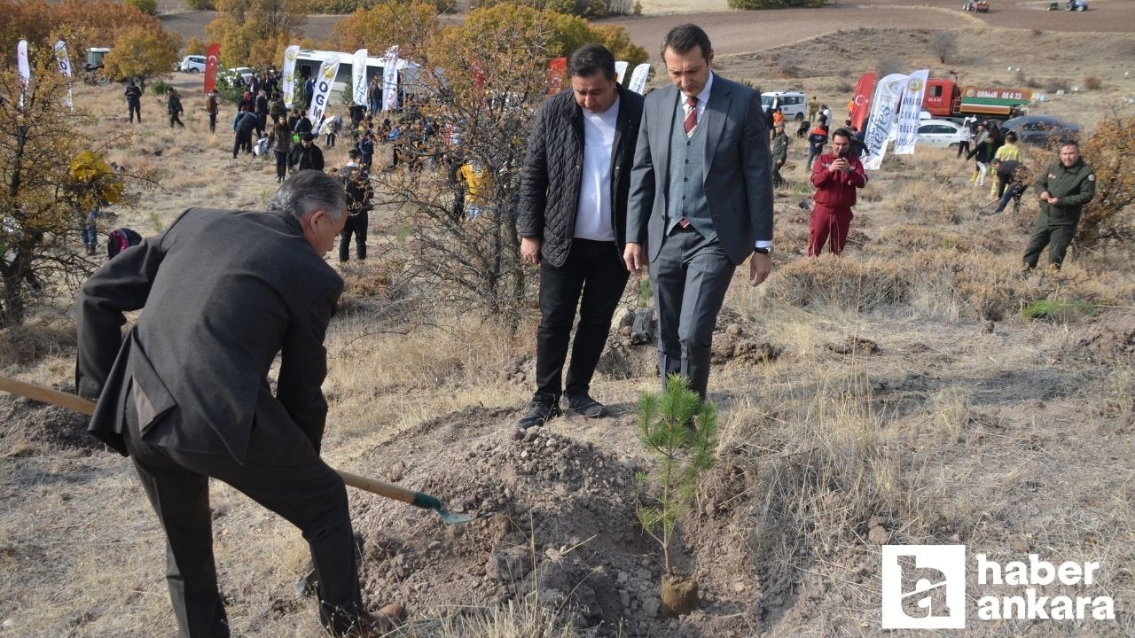 Kahramankazan Belediyesi Milli Ağaçlandırma Günü’nde 500 çam fidanı dikti