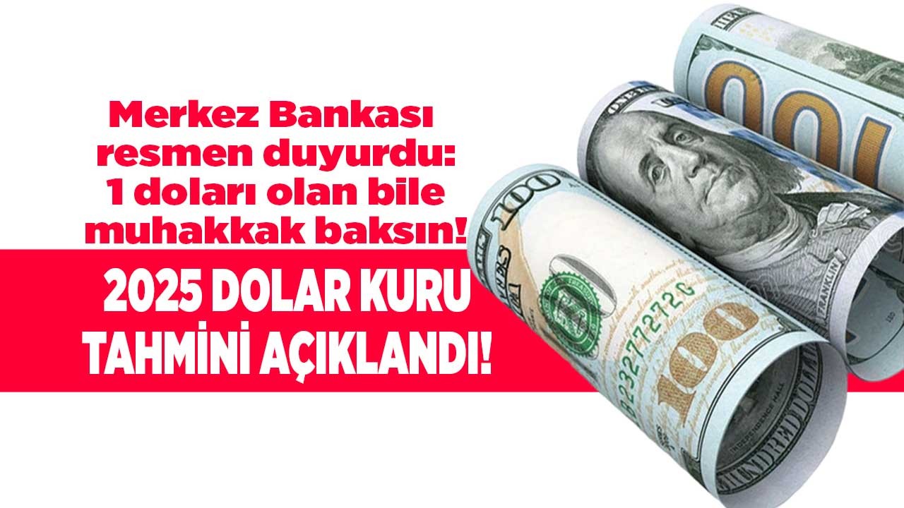 1 doları olan bile muhakkak baksın! Merkez Bankası 2025 dolar tahmini açıklandı