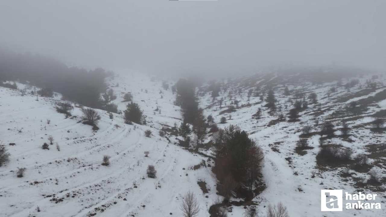 Kızılcahamam'da orman beyaz kar örtüsü ile kaplandı