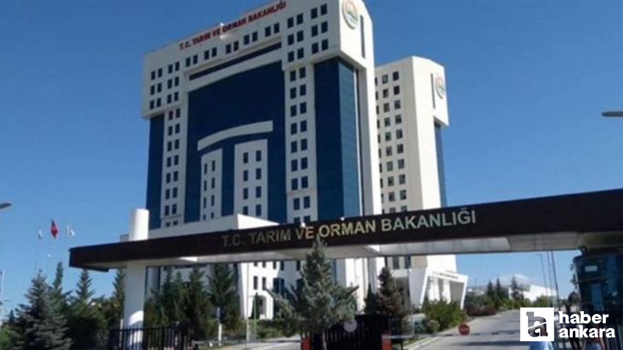 Taklit ve tağşiş listesine 31 yeni ürün daha eklendi