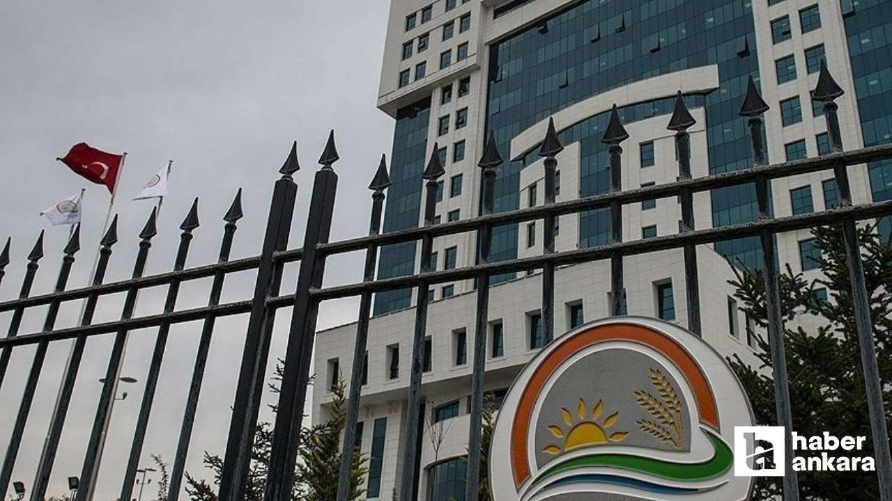 Etil alkol ve metanol üretimine yönelik düzenleme