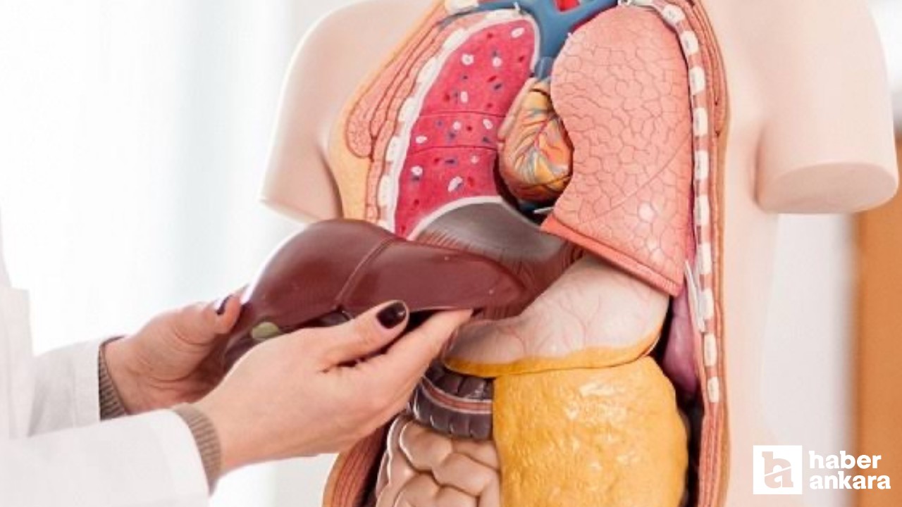 Karaciğer yağlanması kendini ciltte gösteriyor: Bu belirtilere dikkat