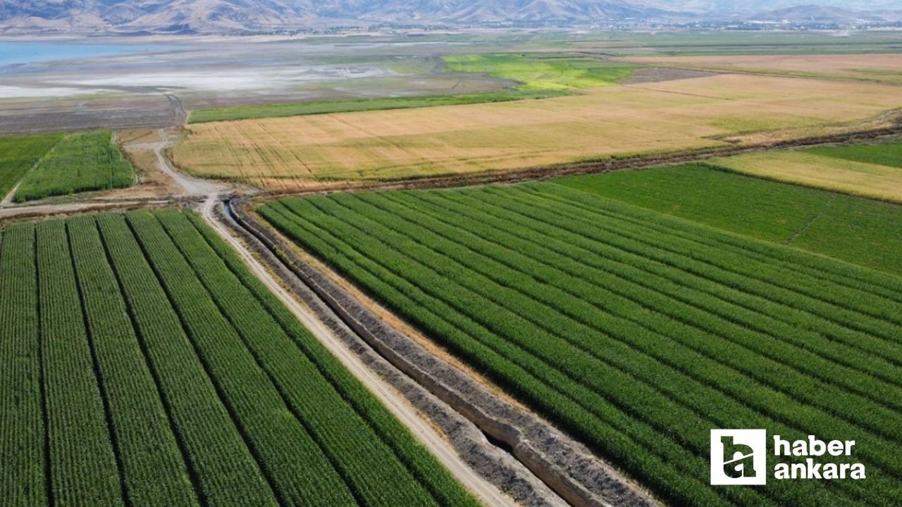 Çifçilere destek ödemesi bugün yapılıyor