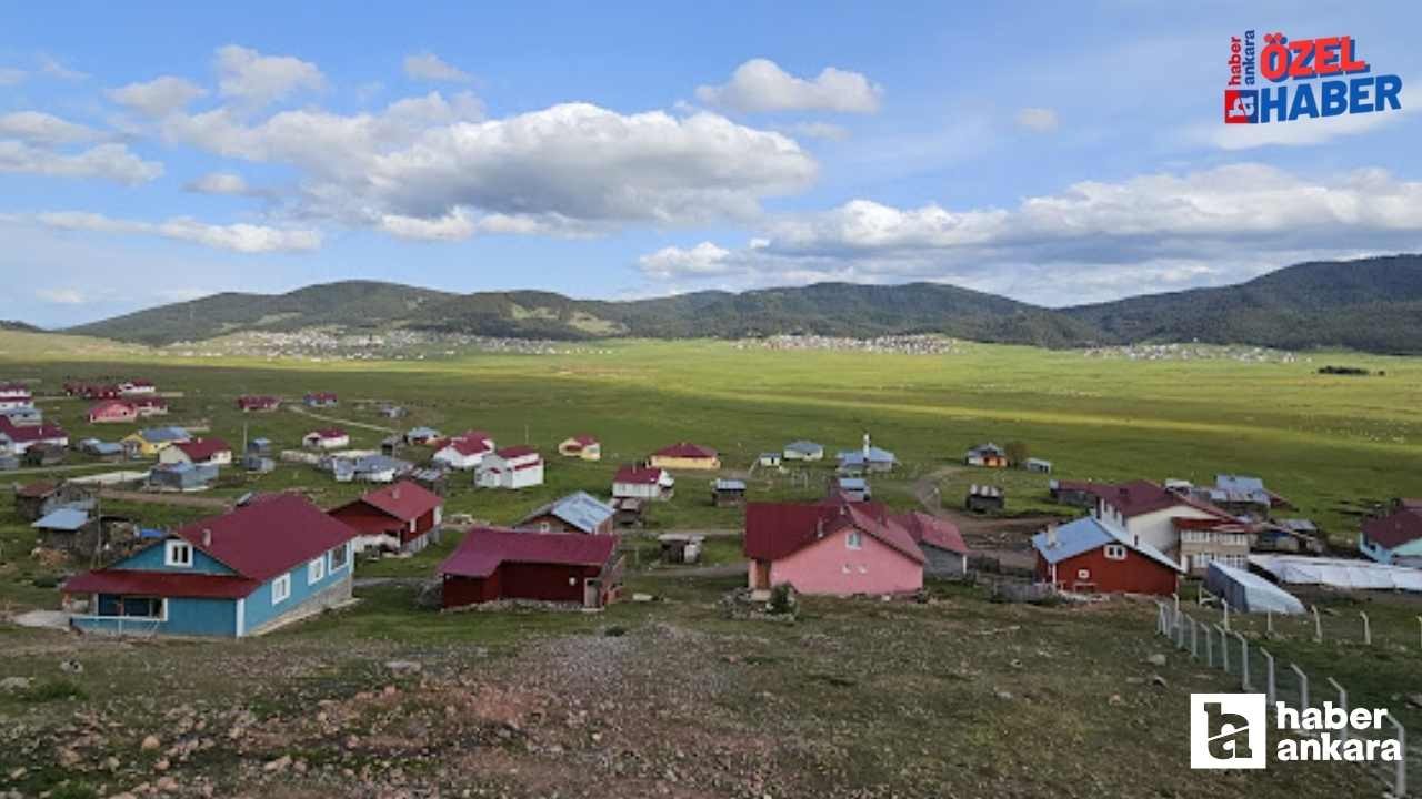 Karadeniz yaylalarına parmak ısırttı! Ankara'nın saklı hazinesi en güzel yayla seçildi