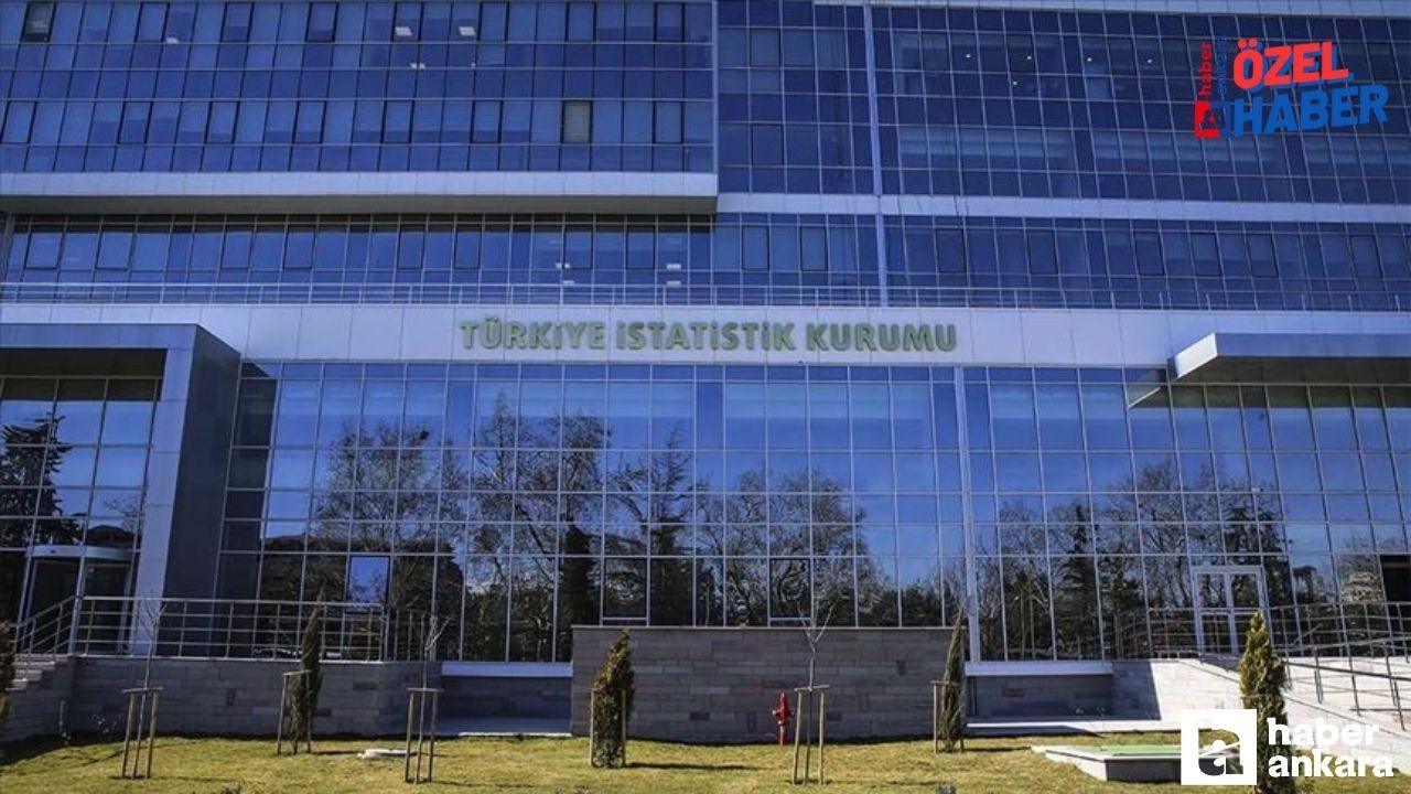 TÜİK Cuma gününe kadar 4 veri daha açıklayacak