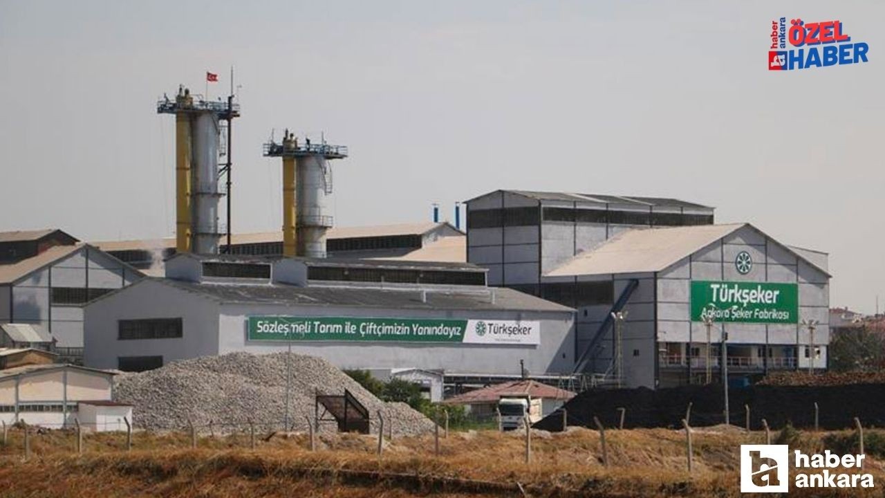 Türkşeker Ankara'da 196 işçi alacak: Başvurular başlıyor