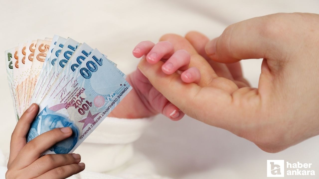 Ankara'da listede: Doğum yardımına en çok başvuru yapan iller açıklandı