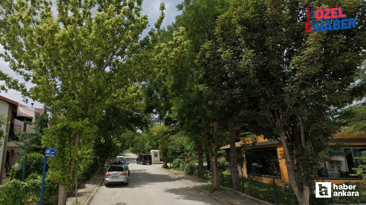 Ankara’da burada ‘yaşam’ var: Yıllardır kendisini hatırlatıyor