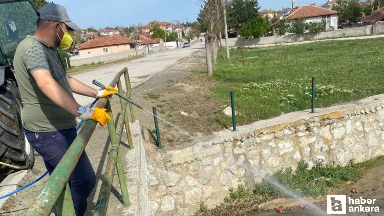Çorum'da belediye ekipleri sivrisinekler için ilaçlama çalışmalarına başladı