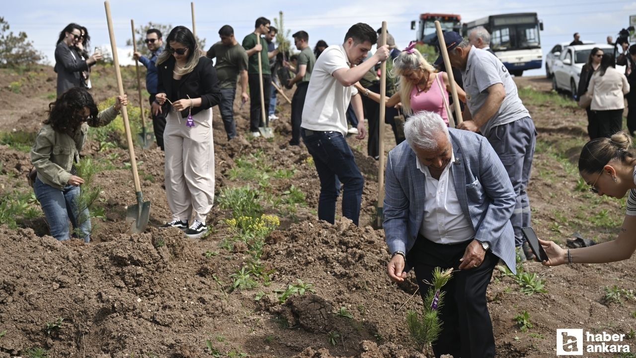 Şiddete uğrayan kadınların anısına AOÇ'de 2 bin fidan dikimi yapıldı