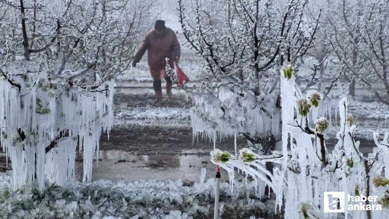 Zirai Don Meclis Araştırma Komisyonu ilk toplantısını 14 Mayıs'ta yapacak