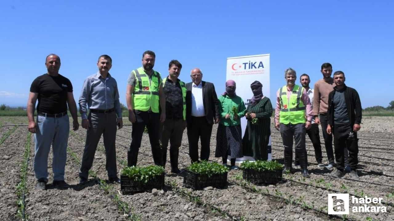TİKA Azerbaycan'da sel mağduru çiftçilerin yüzünü güldürdü