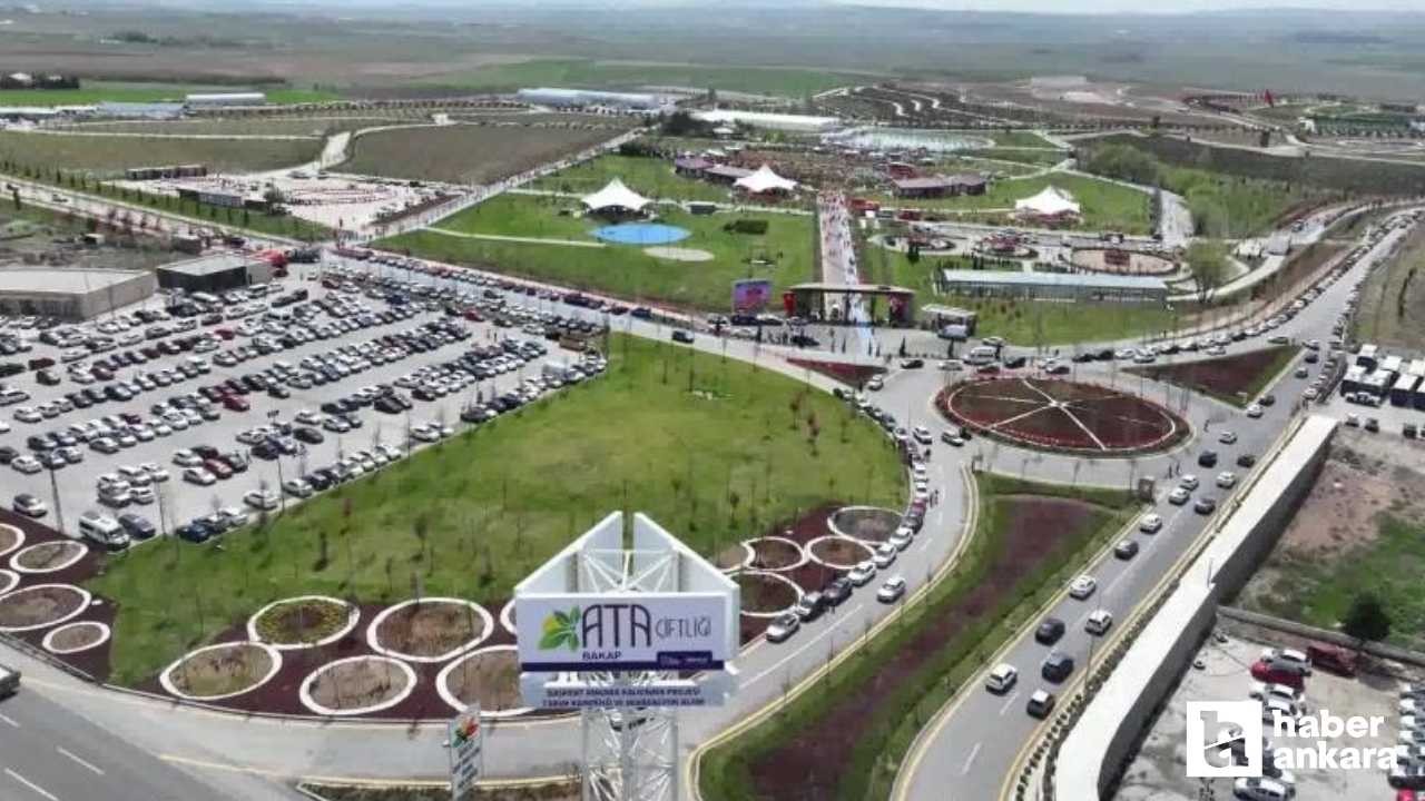 Ankara Büyükşehir Belediyesi çocukları doğa ile buluşturdu