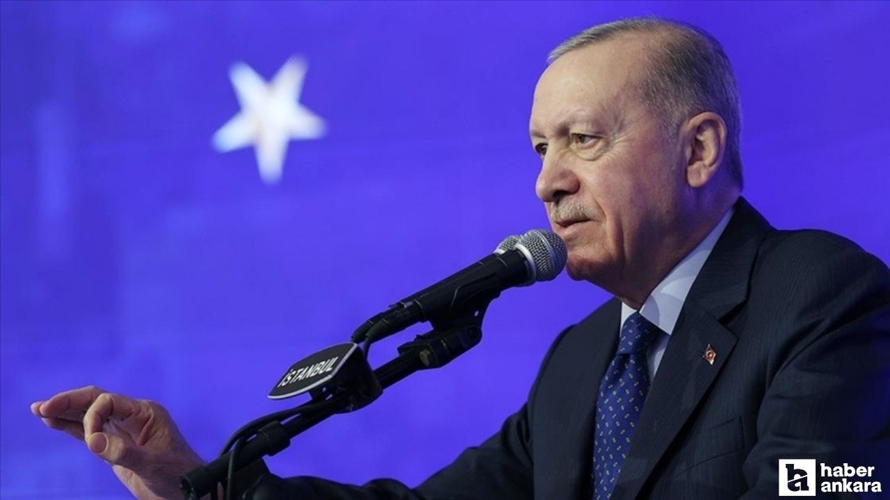 Cumhurbaşkanı Erdoğan'dan doğalgaz müjdesi: 3,5 yıl konutların ihtiyacını karşılayacak