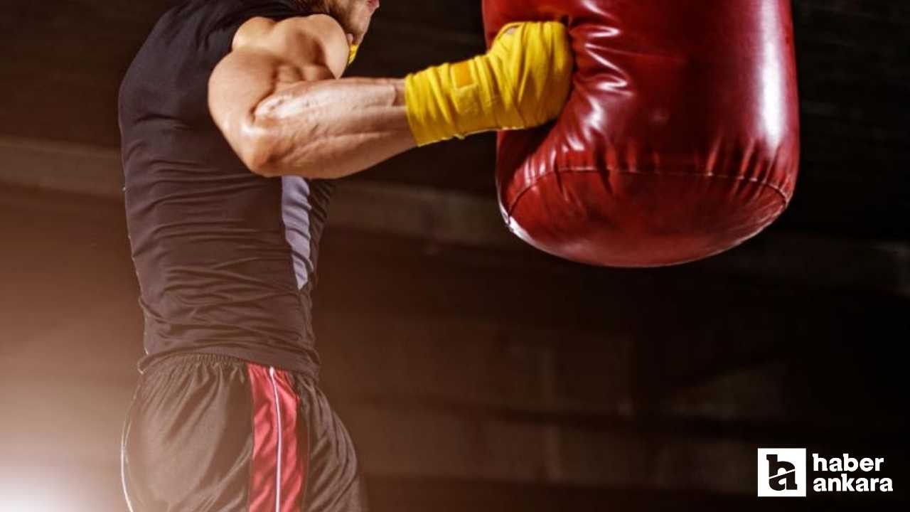 Uluslararası MMA Gecesi Ankara'nın ev sahipliğinde yapılacak