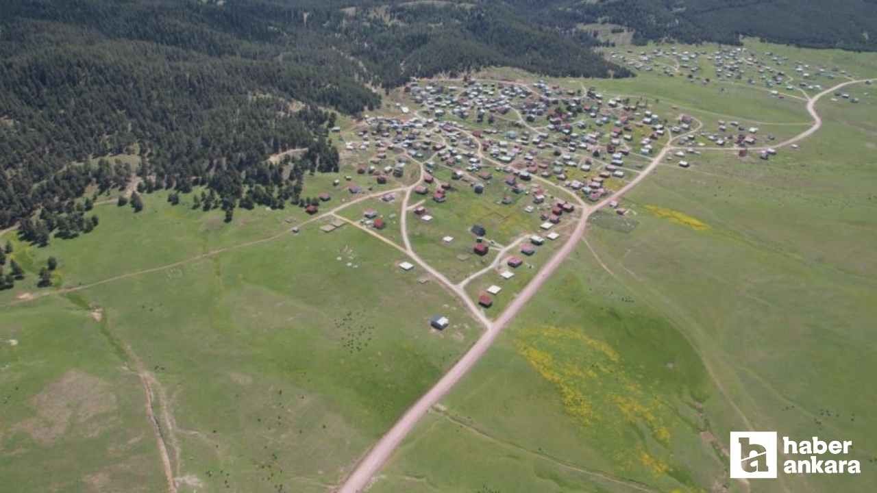 Havalar ısındı, Benli Yaylası'na göç başladı