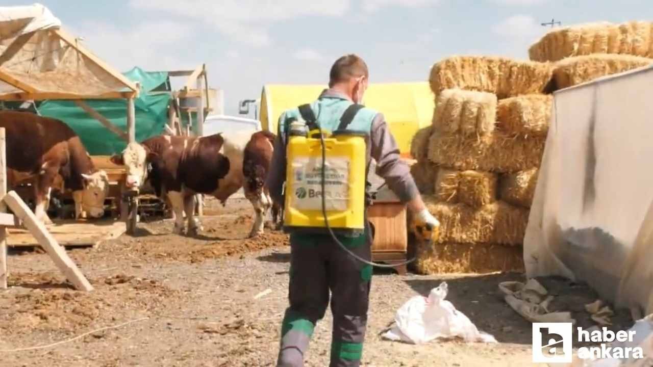Ankara Büyükşehir Belediyesi vektörlerle mücadeleye devam ediyor!
