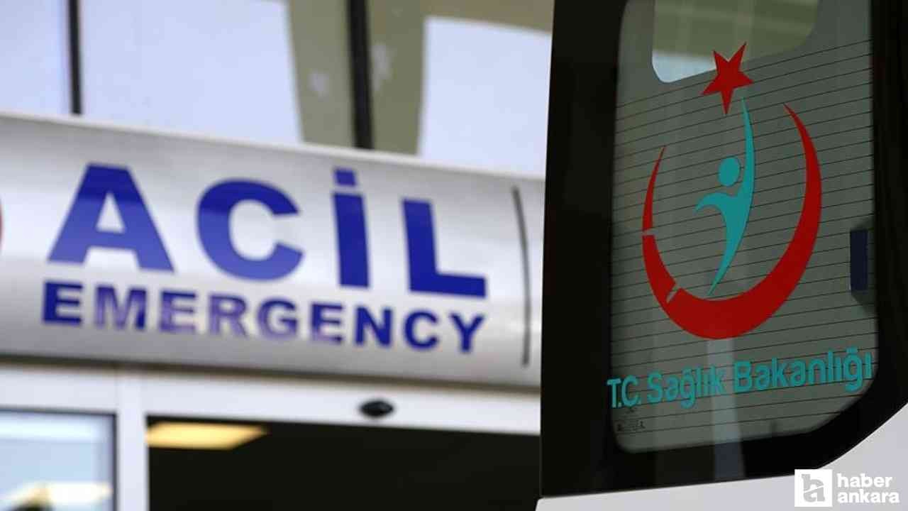 Havalar ısınınca ortaya çıktı: Bilinçsiz müdahale ölüme kadar götürüyor