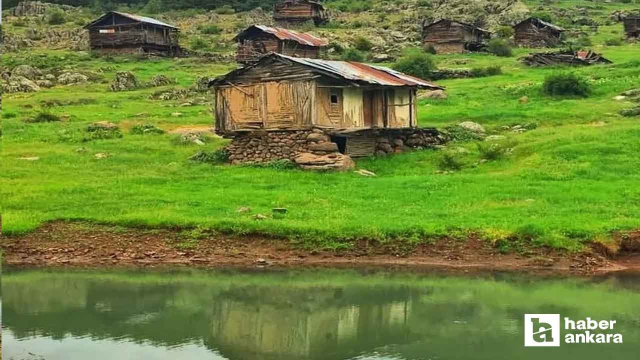 Ankara'nın en yeşil köyü, başkentin Karadeniz'i! Şırıl şırıl akan deresi ve yeşilin her tonu burada
