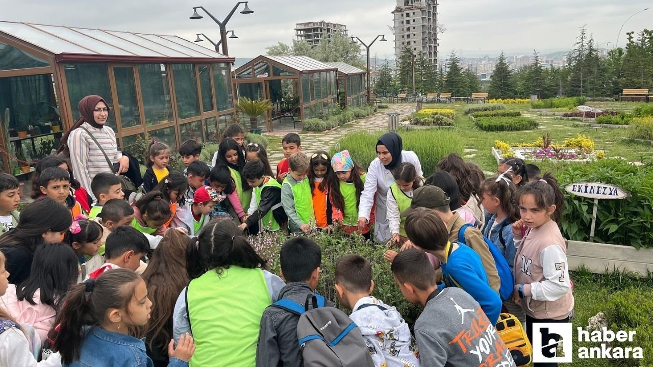 Pursaklar Belediyesi Endemik Vadi öğrenciler için eğitim mekanı oldu