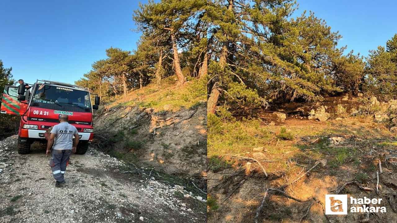 Beypazarı’nda orman yangını kısa sürede söndürüldü