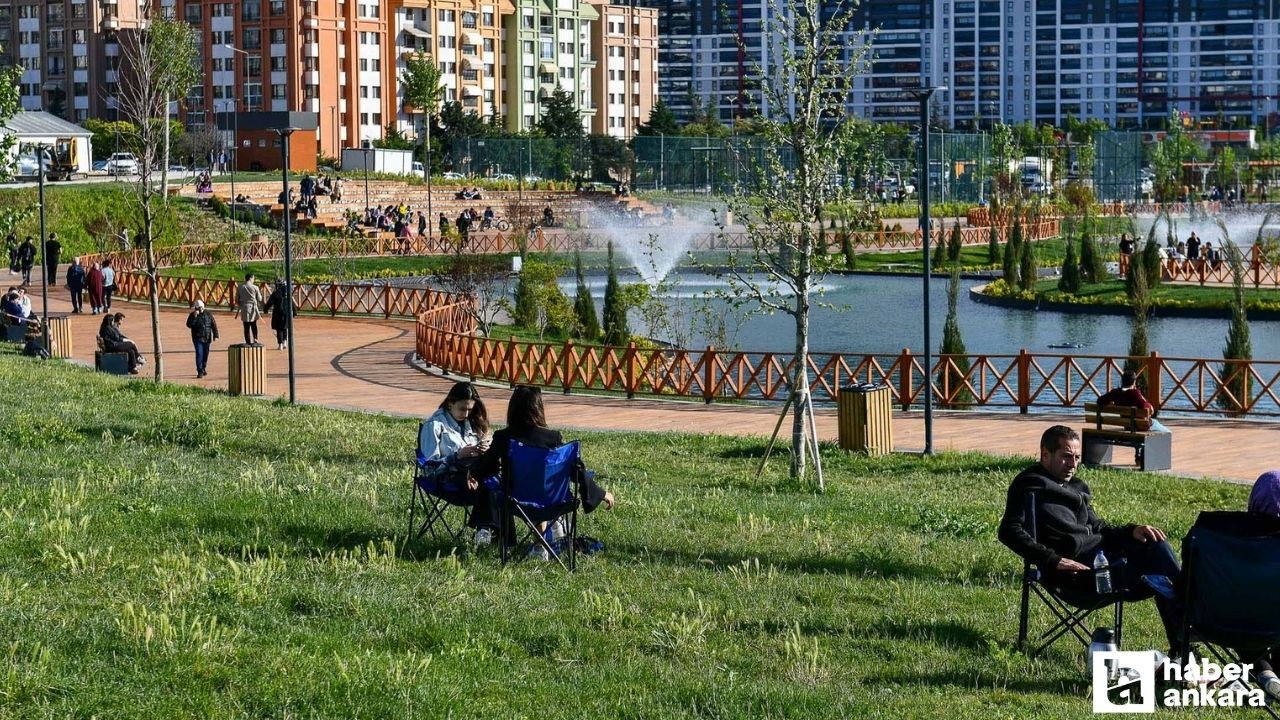 Ankara'da yakın zamanın akımı haline geldi: Her yeşil alanda ondan görebilirsiniz