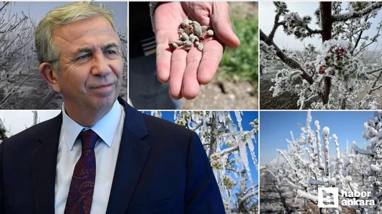 ABB'den zirai dondan etkilenen Ankaralı çiftçilere destek!