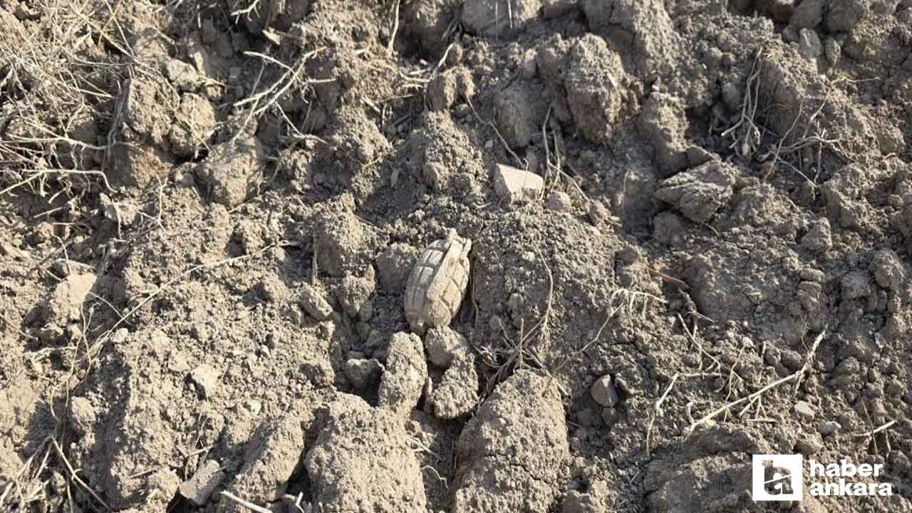 Sakarya Meydan Muharebesinden kalma patlamamış el bombası bulundu