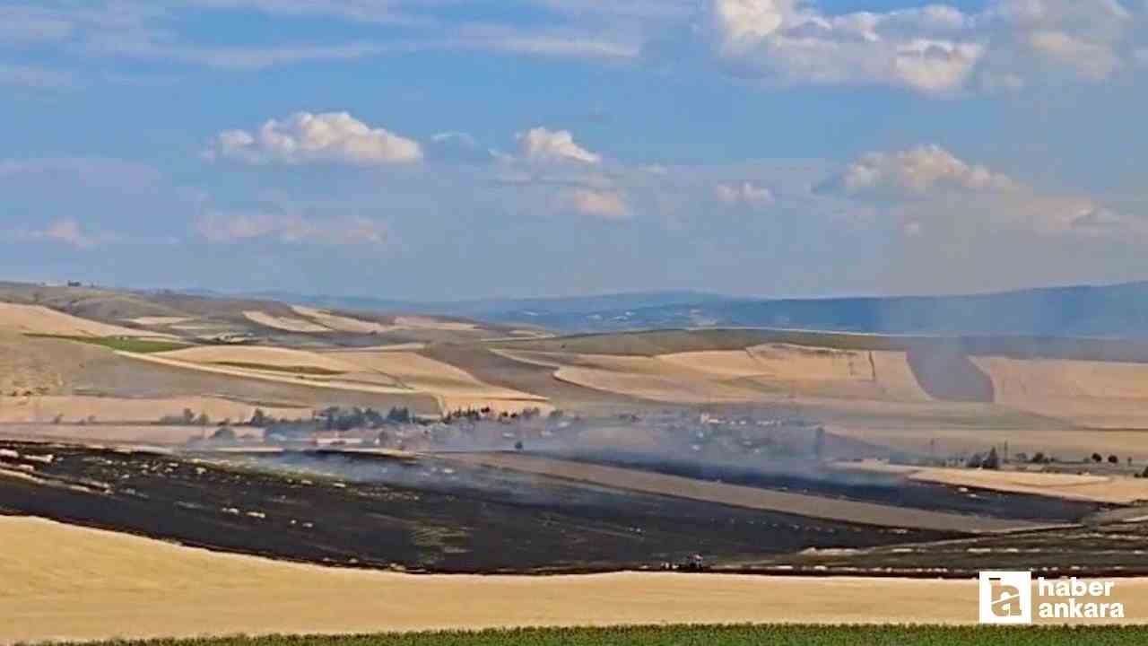 Çorum'da tarlayı yakan zanlı 96 saatlik takiple yakalandı