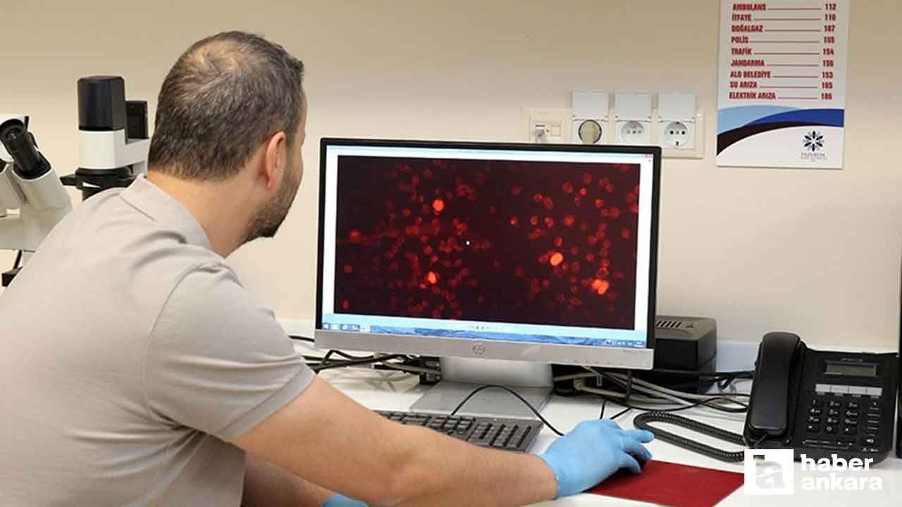 Türk bilim insanlarından Alzheimer hastalığını erken evrede yakalayacak çalışma!