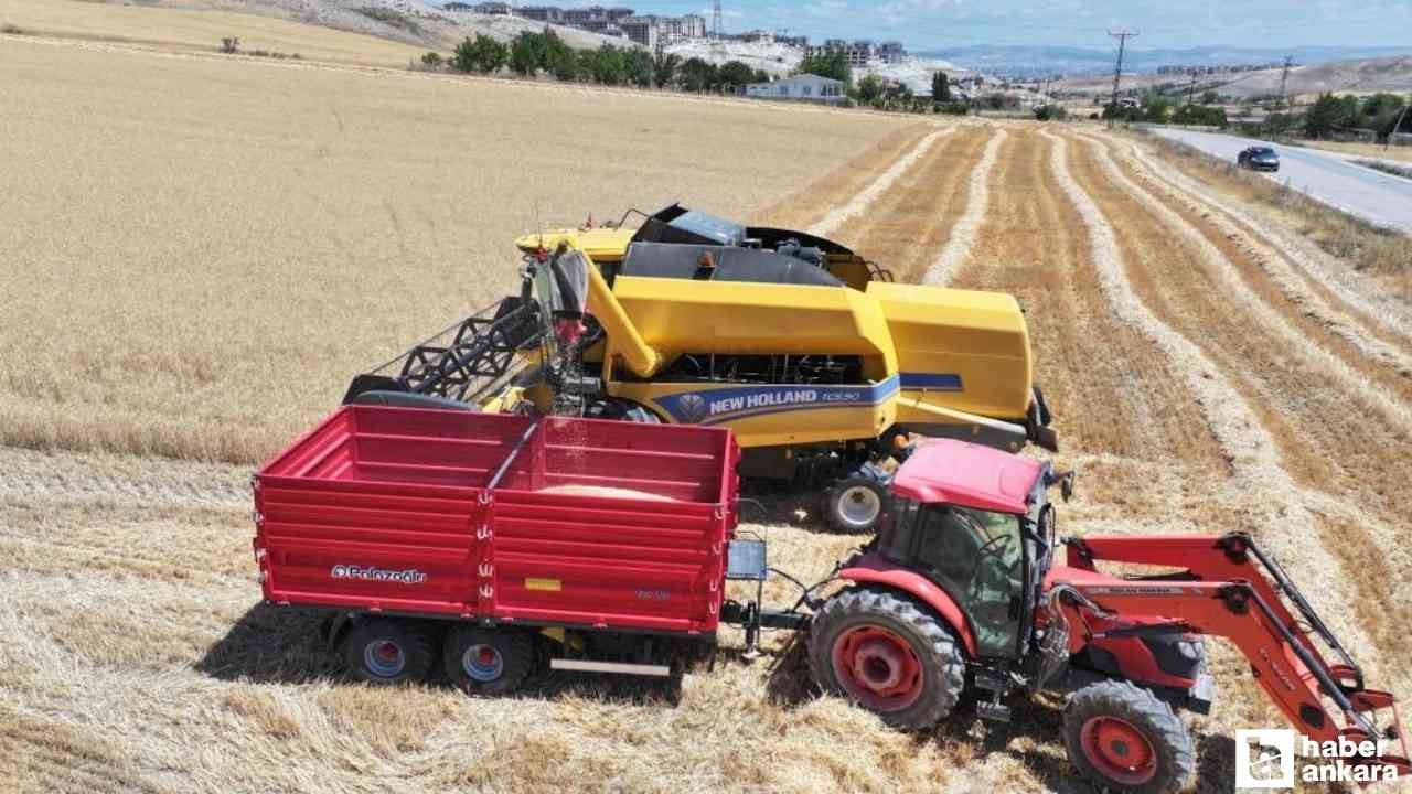 Sincan Belediye Başkanı Ercan tahıl hasadına katıldı