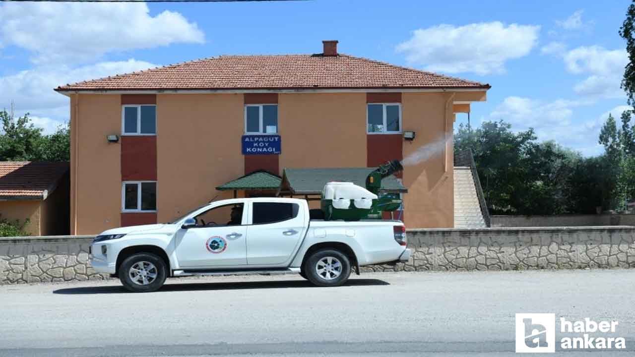 Kahramankazan Belediyesi haşere mesaisinde