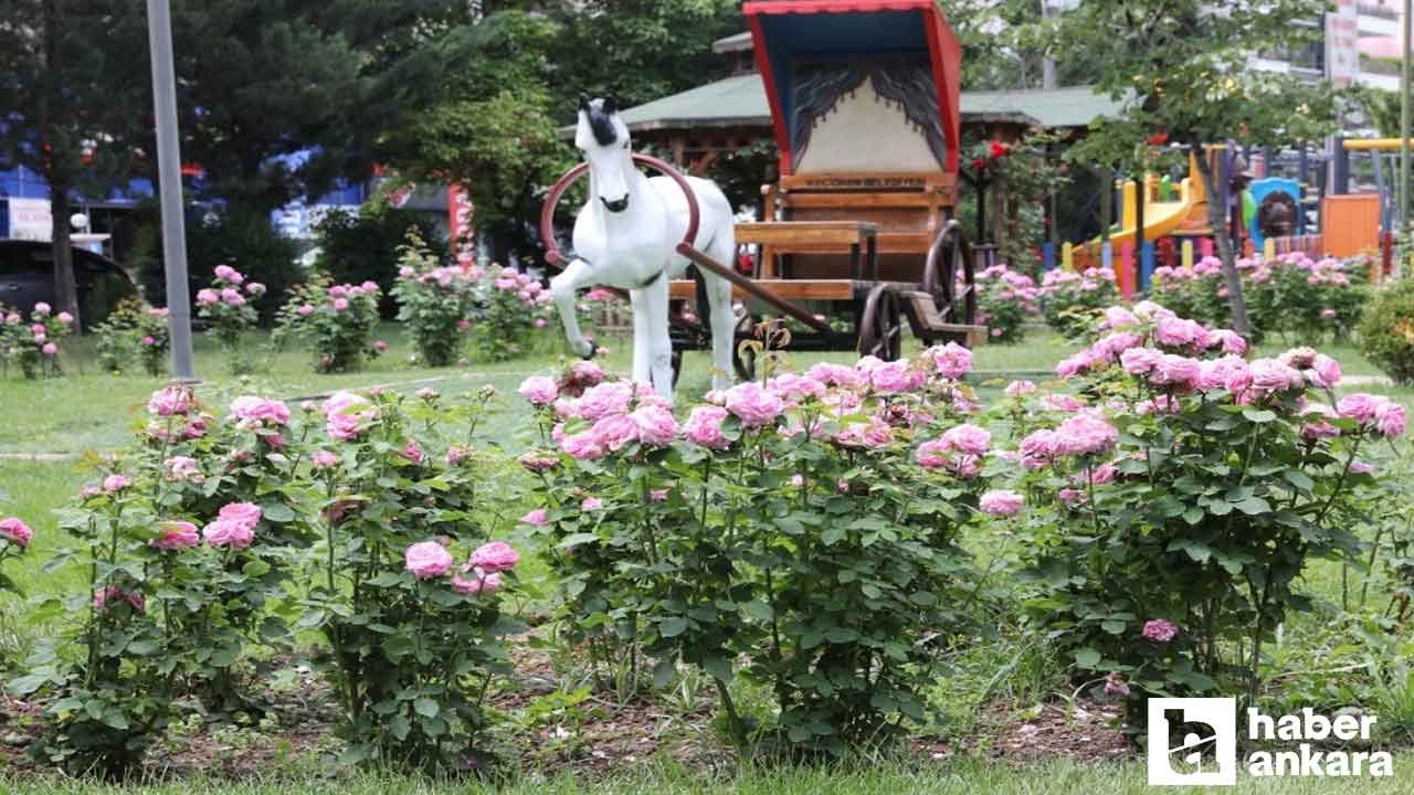 Keçiören’de parklara estetik dokunuş