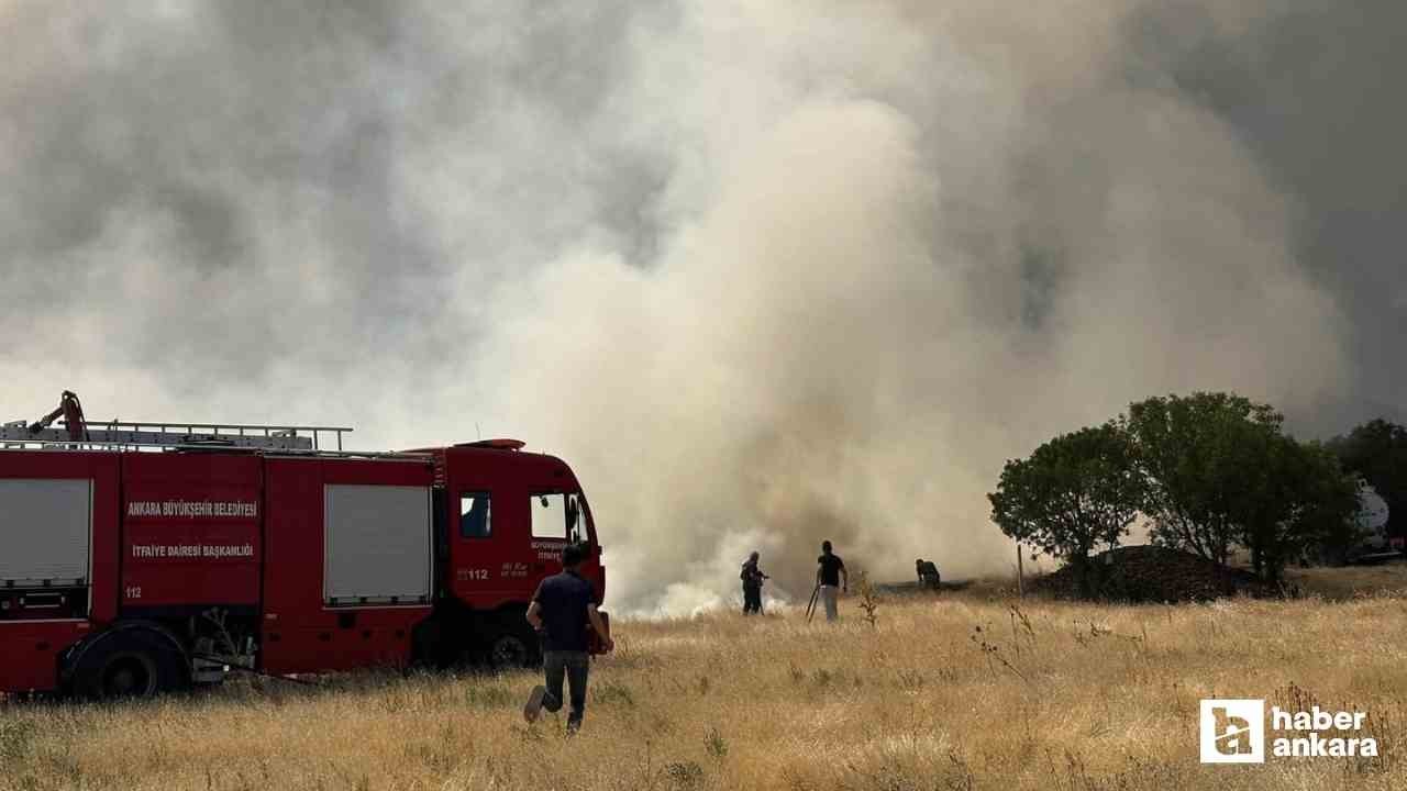 Güdül'de çıkan tarla yangınında maddi hasar oluştu