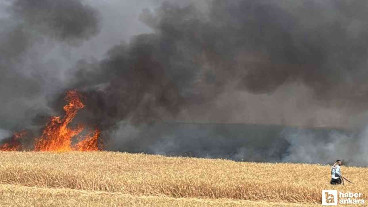 Beypazarı'nda buğday ekili tarlada çıkan yangın korkuttu!