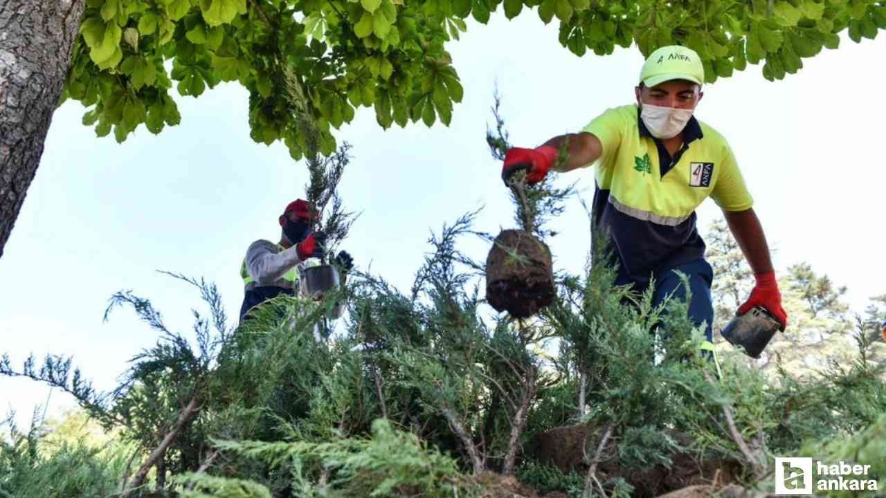 ABB sıcaklara karşı personeller için yeni düzenlemeyi duyurdu!