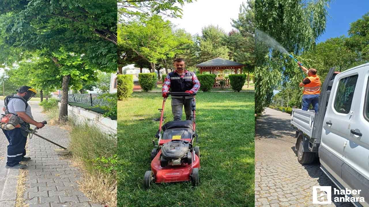 Kahramankazan Belediyesi, çevre düzenlemesi çalışmalarını sürdürüyor