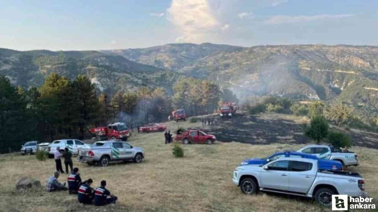 Beypazarı'nda 15 dönüm ekili arazide yangın çıktı