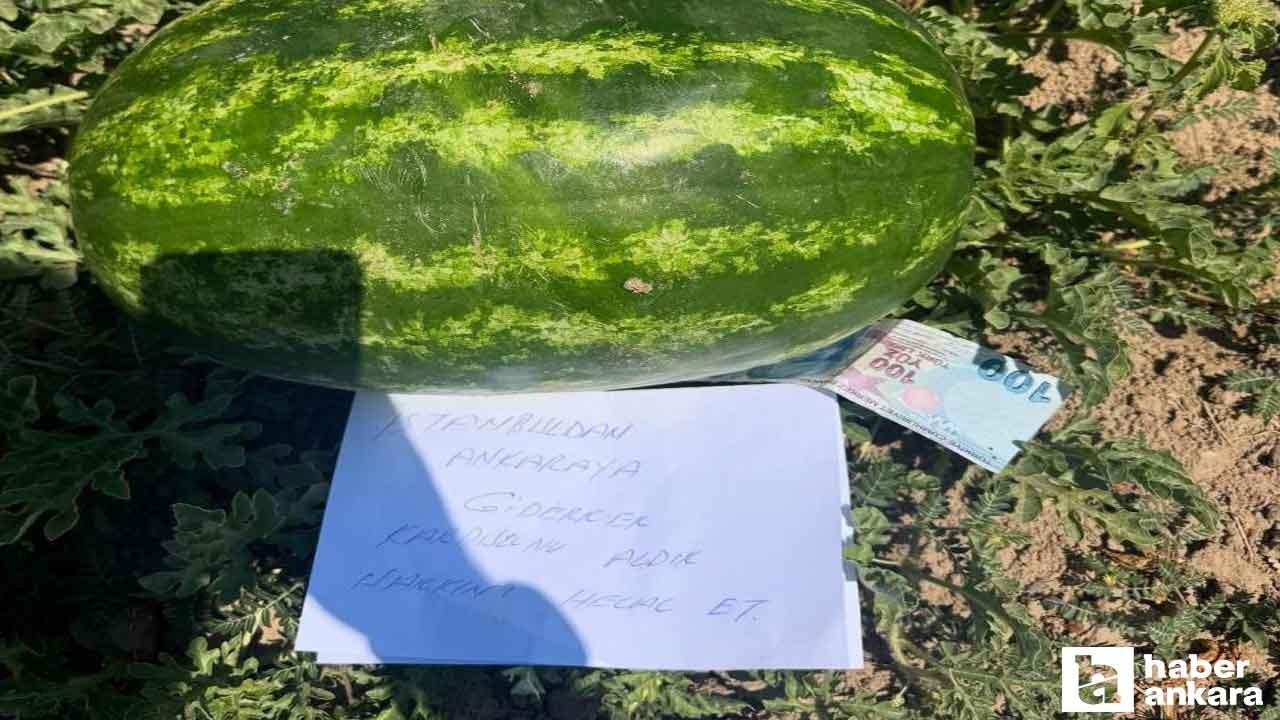 Ankara'ya giderken tarladan karpuz aldılar notla para bıraktılar