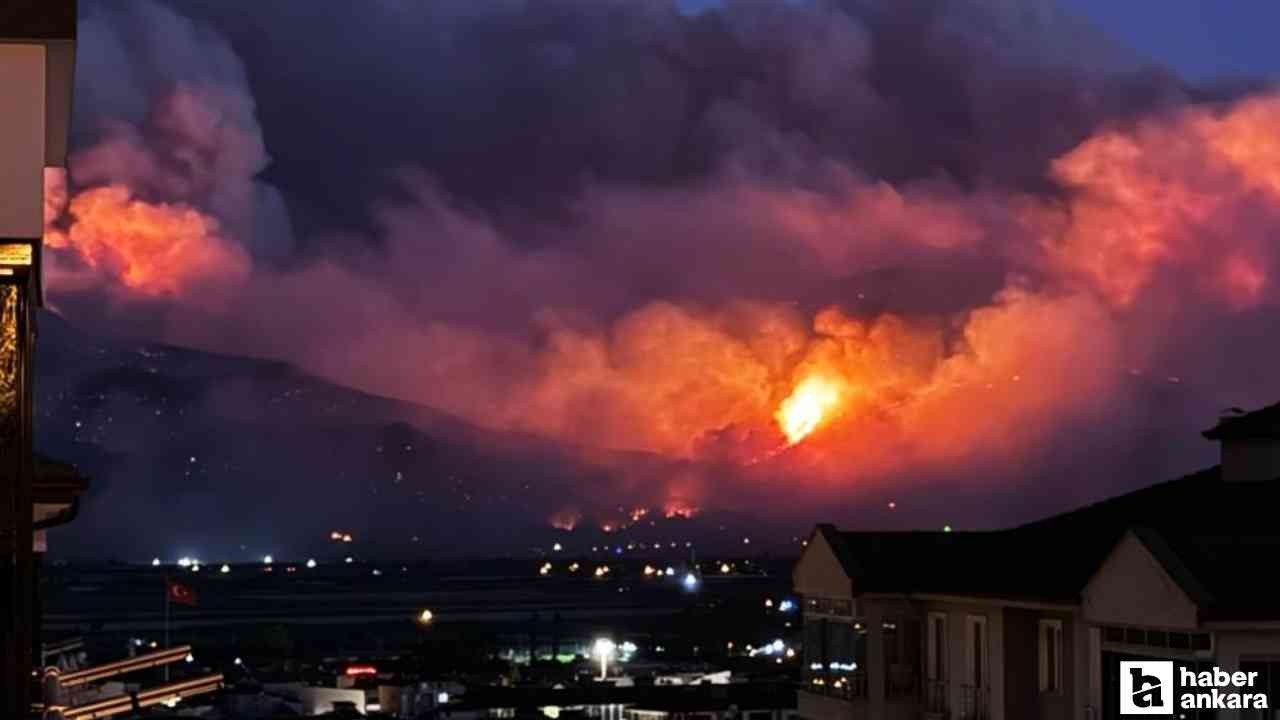 Sakarya'daki orman yangını büyümeye devam ediyor