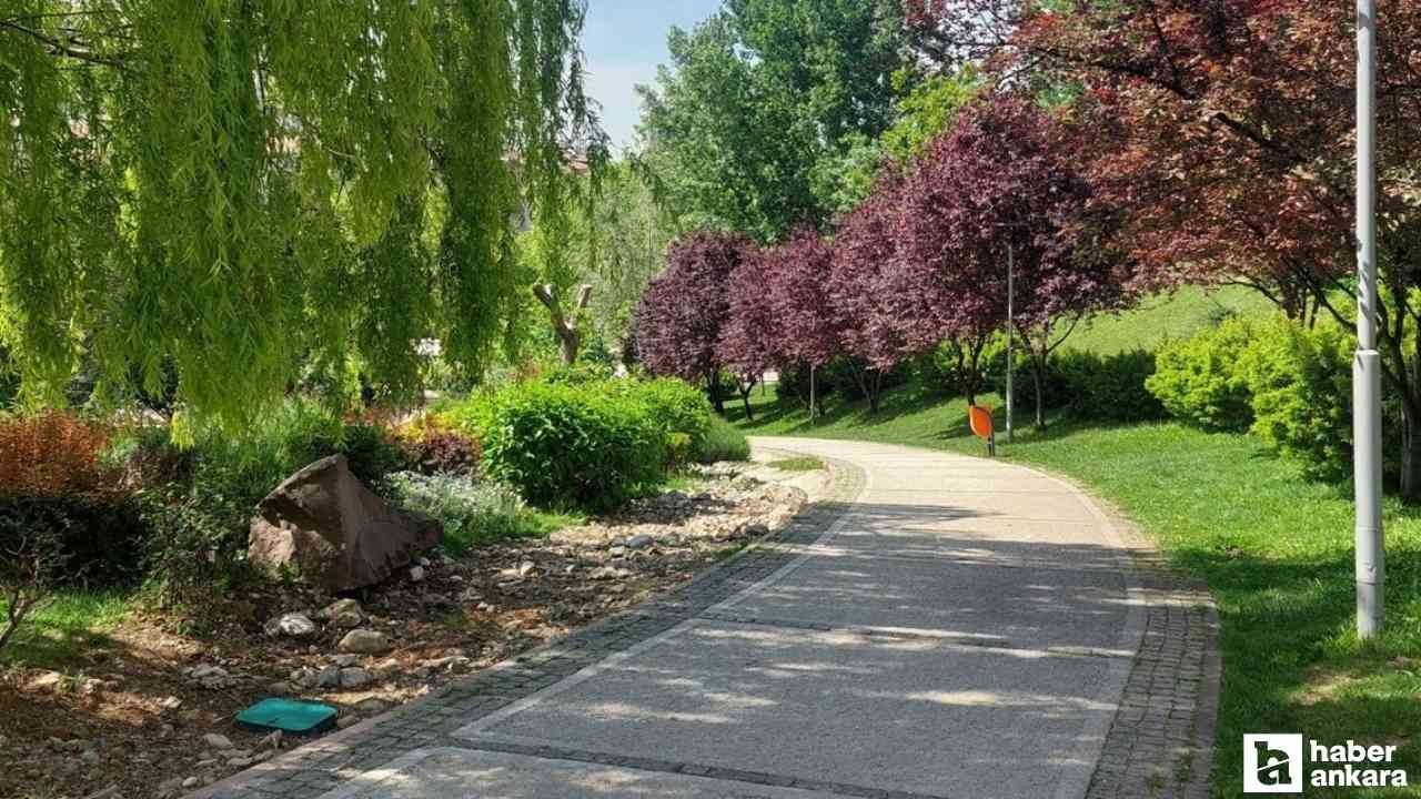 Kafa dinlemek isteyen başkentliler her hafta sonu oraya akın ediyor