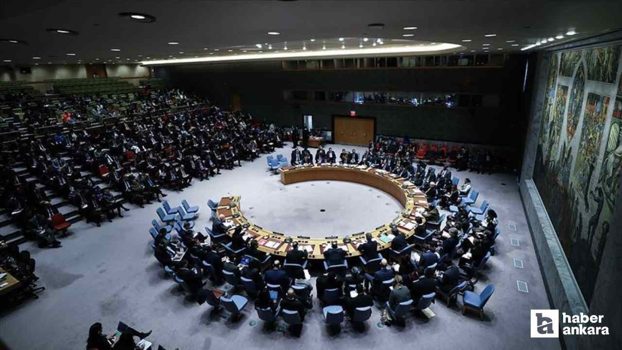 Birleşmiş Milletler Güvenlik Konseyi için Japonya'dan reform çağrısı