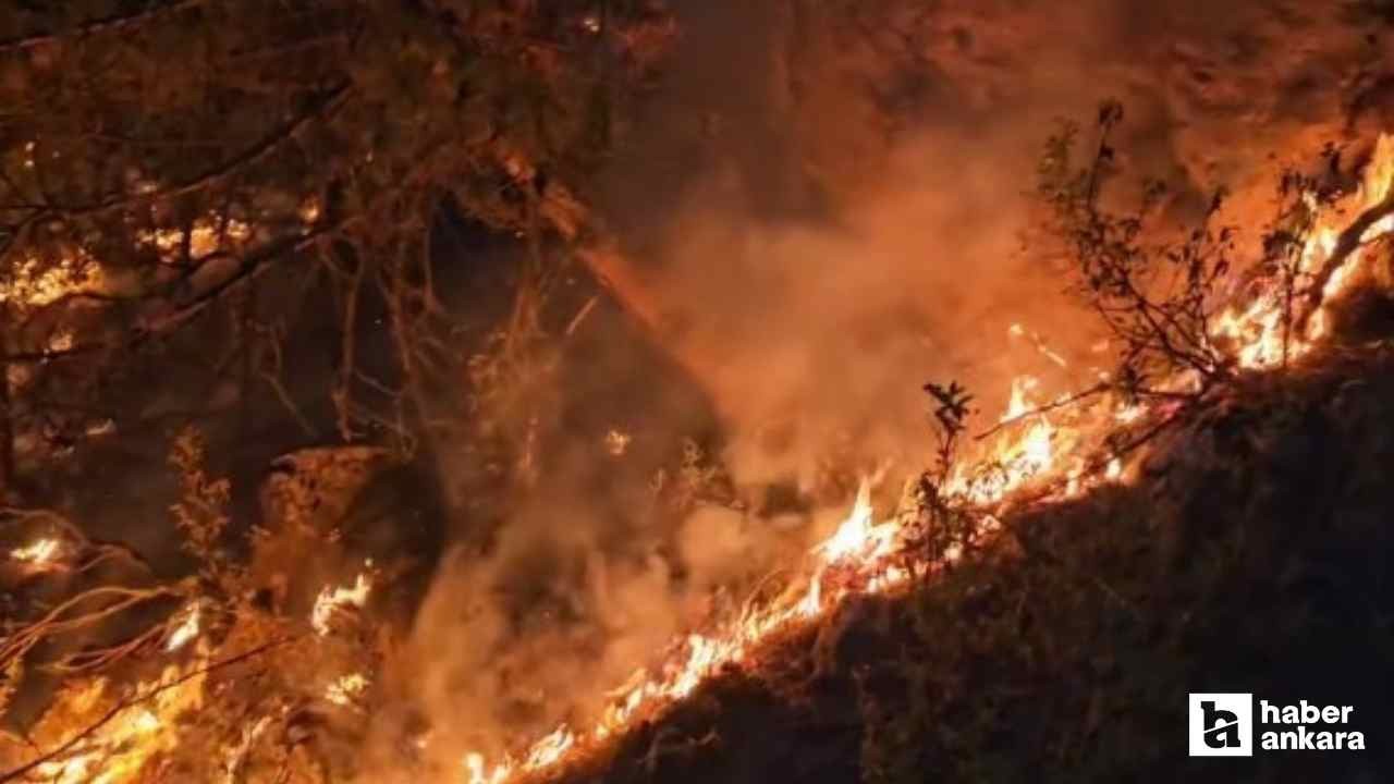 Eskişehir'de 5 orman işçisi ve 5 AKUT çalışanı şehit oldular